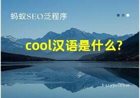 cool汉语是什么?