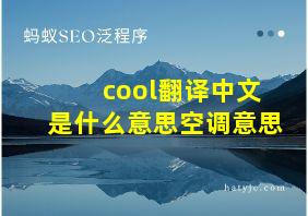 cool翻译中文是什么意思空调意思