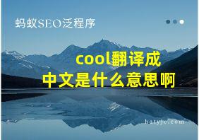 cool翻译成中文是什么意思啊