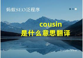 cousin 是什么意思翻译