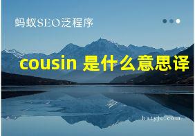 cousin 是什么意思译