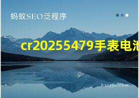 cr20255479手表电池