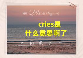 cries是什么意思啊了