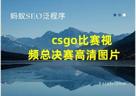 csgo比赛视频总决赛高清图片