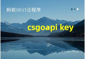 csgoapi key