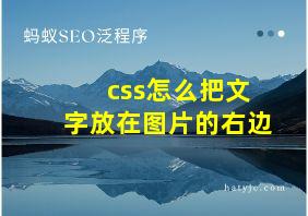 css怎么把文字放在图片的右边