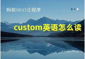 custom英语怎么读