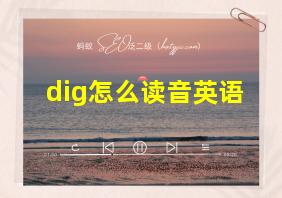 dig怎么读音英语