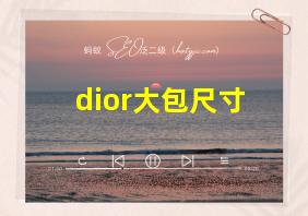 dior大包尺寸