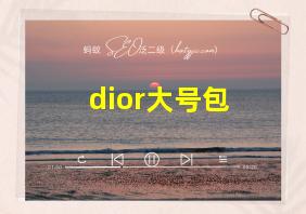 dior大号包