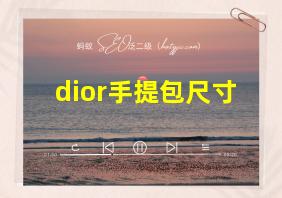 dior手提包尺寸