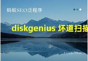 diskgenius 坏道扫描