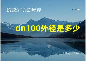 dn100外径是多少