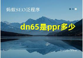 dn65是ppr多少