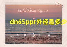 dn65ppr外径是多少