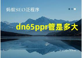 dn65ppr管是多大