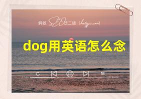 dog用英语怎么念