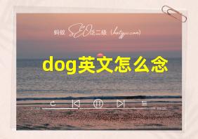 dog英文怎么念