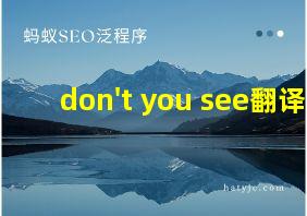 don't you see翻译