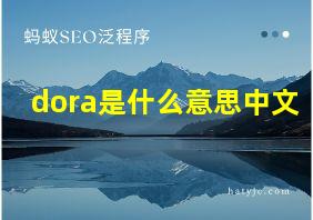 dora是什么意思中文