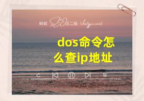 dos命令怎么查ip地址