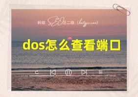 dos怎么查看端口