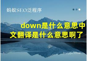 down是什么意思中文翻译是什么意思啊了