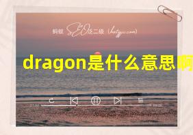 dragon是什么意思啊