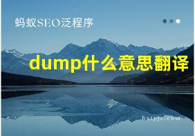 dump什么意思翻译