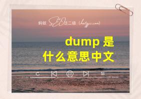 dump 是什么意思中文