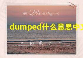 dumped什么意思中文