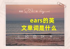 ears的英文单词是什么