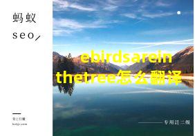 ebirdsareinthetree怎么翻译