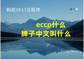 ecco什么牌子中文叫什么