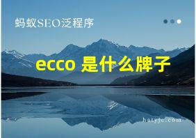 ecco 是什么牌子