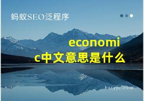 economic中文意思是什么