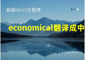 economical翻译成中文