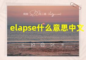 elapse什么意思中文