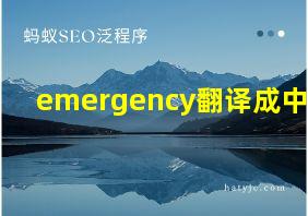 emergency翻译成中文