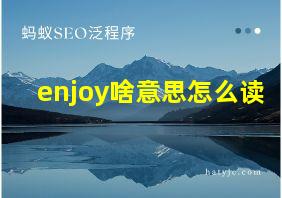 enjoy啥意思怎么读