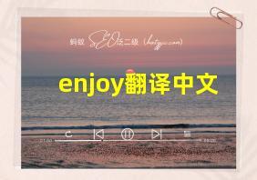 enjoy翻译中文