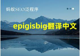 epigisbig翻译中文