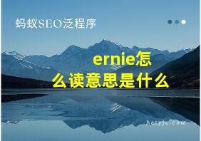 ernie怎么读意思是什么