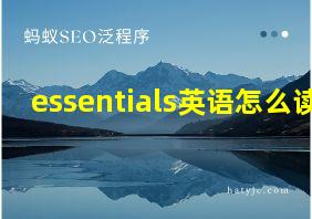 essentials英语怎么读