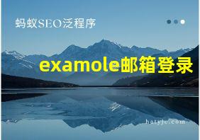 examole邮箱登录