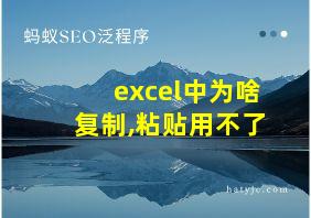 excel中为啥复制,粘贴用不了