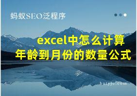 excel中怎么计算年龄到月份的数量公式