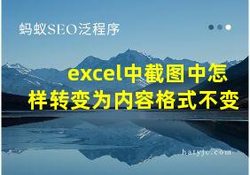 excel中截图中怎样转变为内容格式不变