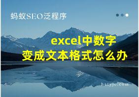 excel中数字变成文本格式怎么办