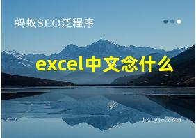 excel中文念什么